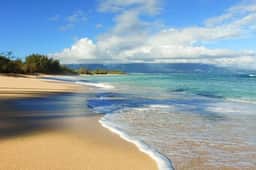 Tropical 1BR Escape | Walk to Beach - Image 3