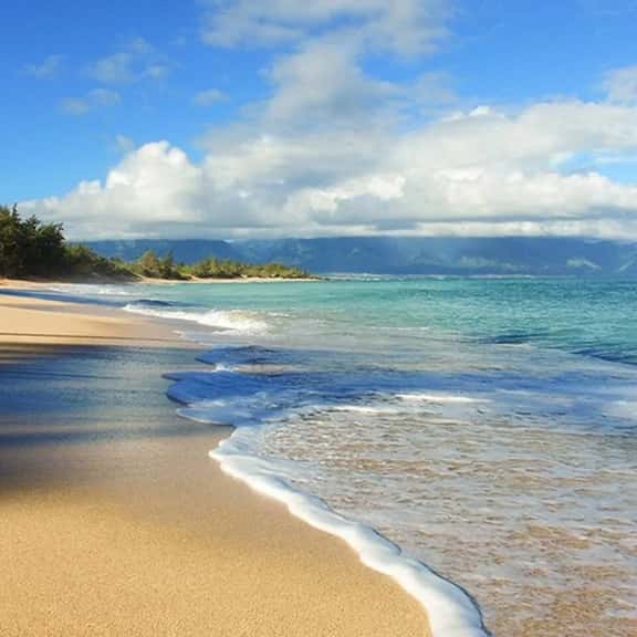 Island Escape | Steps to Sand + Pools - Image 1
